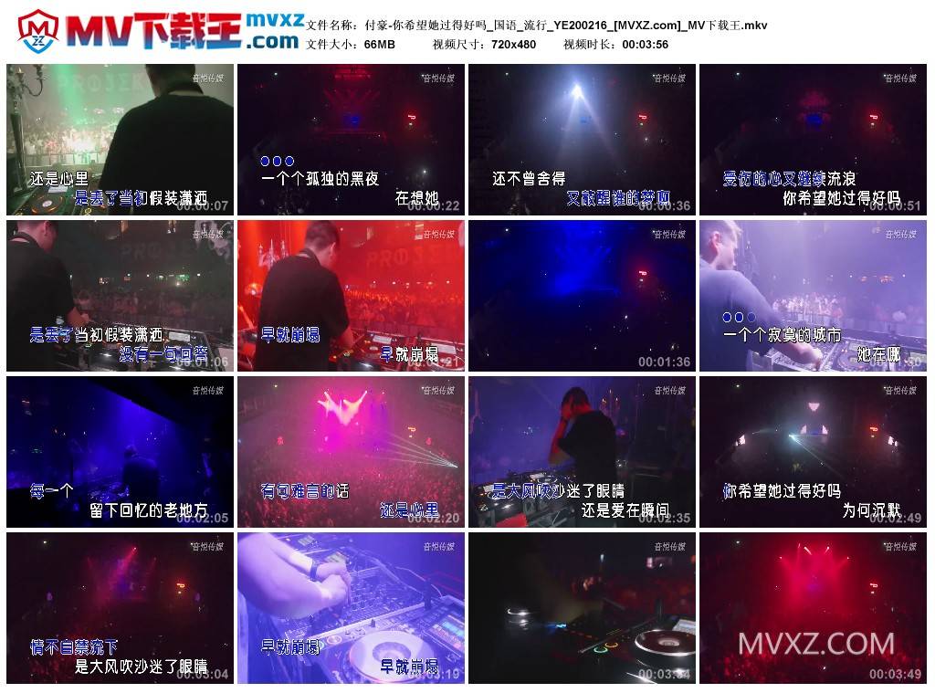 付豪-你希望她过得好吗_国语_流行_YE200216
